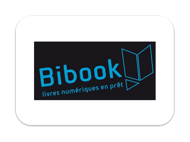 Bibook